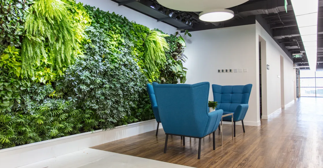 Office Interior Upgrades